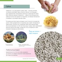 Лот: 10349259. Фото: 7. Книга знаний «Невидимый мир»