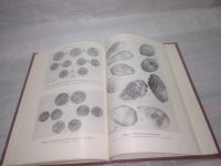 Лот: 25797077. Фото: 10. ок.(00-044) Нумизматика и эпиграфика...