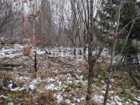 Лот: 25299291. Фото: 8. 1-комн. дача , садоводческое некоммерческое...