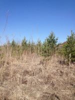 Лот: 6641412. Фото: 3. Участок под строительства коттеджа... Недвижимость