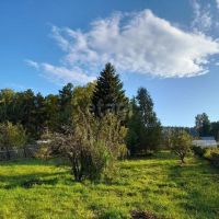 Лот: 25882541. Фото: 2. 2-комн. дача , СНТ Ветеран-9 СНТ... Продажа