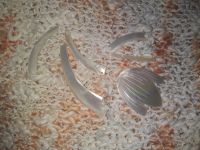 Лот: 19954375. Фото: 3. Ручная работа.Кофточка вязаная. Ручная работа