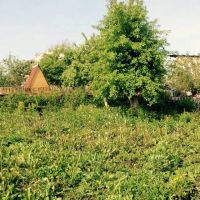 Лот: 7161093. Фото: 2. дача в аренду. Продажа