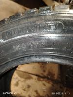 Лот: 24778967. Фото: 6. шины Dunlop Winter Maxx WM01 205...