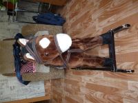 Лот: 2737189. Фото: 2. Детская качалка "лошадка" продам... Игрушки