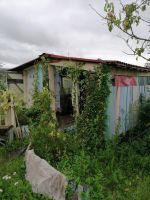 Лот: 17368154. Фото: 6. земельный участок дача