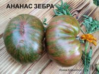 Лот: 16911663. Фото: 3. Семена томата Ананас зебра , биколор. Для дачи, дома, огорода, бани, парка