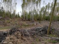 Лот: 15988770. Фото: 7. Земельный участок ДНТ Новый Мир...