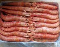 Лот: 19903802. Фото: 2. Лангустины L1 с головой. Продукты