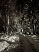 Лот: 25294871. Фото: 19. 2-комн. дом , посёлок Элита посёлок...