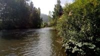 Лот: 2466836. Фото: 7. Земля на р. Базаиха (Бобровый...