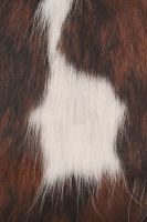 Лот: 25588023. Фото: 9. Сумка кросс-боди EKONIKA