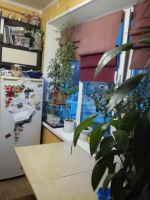 Лот: 14373148. Фото: 3. Продается однокомнатная квартира... Недвижимость