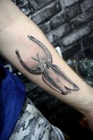 Лот: 19364229. Фото: 3. Обучение тату. Услуги