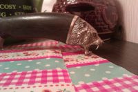 Лот: 4036631. Фото: 2. Нож "Егерь". Охота