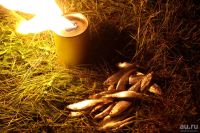 Лот: 15880717. Фото: 2. Антимоскитный Огонь Лебедева с... Рыбалка