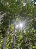 Лот: 25512541. Фото: 13. 3-комн. дача , садоводческое некоммерческое...