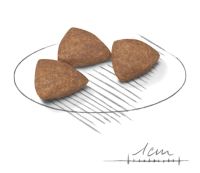 Лот: 19828137. Фото: 2. Royal Canin Mini Indoor Adult... Животные и уход