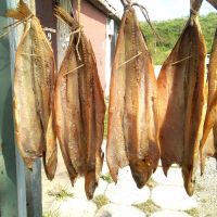 Лот: 18448149. Фото: 2. Дымогенератор для холодного и... Для дачи, дома, огорода, бани, парка