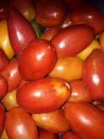 Лот: 11891239. Фото: 2. Минусинские помидоры под заказ. Продукты