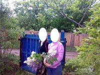 Лот: 2776109. Фото: 2. Куст саженец сирень 2шт. Семена, рассада, садовые растения