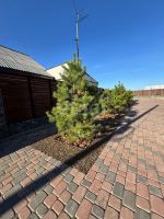 Лот: 25288071. Фото: 17. 4-комн. дом , посёлок городского...