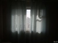 Лот: 13622184. Фото: 3. Шторы. Домашний быт