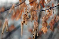 Лот: 3428685. Фото: 6. Юпитер-37А со знаком качества...