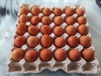 Лот: 22176660. Фото: 5. Яйцо куриное домашнее