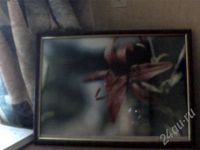 Лот: 474838. Фото: 2. фото для вашего интерьера;). Предметы интерьера