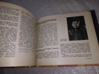 Лот: 19216904. Фото: 14. Театральный календарь. 1983 г...