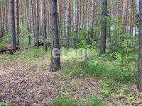 Лот: 25289638. Фото: 13. 3-комн. дача , садоводческое некоммерческое...