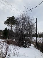 Лот: 25378937. Фото: 2. Дача пл. Караульная. Продажа