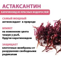 Лот: 24962531. Фото: 5. Корм Yee Fish Food 90гр