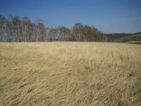 Лот: 4108400. Фото: 2. Участок "Нанжуль-1". Продажа