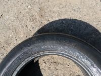 Лот: 25621802. Фото: 6. Шина летняя Nokian Nordman SX2...