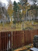 Лот: 25794020. Фото: 8. 5-комн. и более дача , садоводческое...