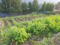 Лот: 14111844. Фото: 16. продам дачу в Сорокино