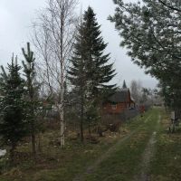 Лот: 1748150. Фото: 4. Участок на станции "Снежница". Красноярск