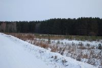 Лот: 8749947. Фото: 10. Участок за Емельяново