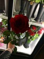 Лот: 11410625. Фото: 3. Шикарнейшие Метровые красные розы... Сувениры, подарки