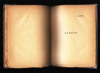 Лот: 18598646. Фото: 4. Дейблер Теодор,Глэз Альбер. В... Красноярск
