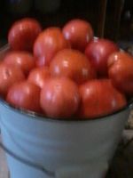 Лот: 8150125. Фото: 2. Помидоры Минусинские. Продукты