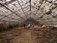 Лот: 882203. Фото: 2. Оранжерея 600 т.руб. Продажа