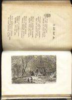 Лот: 7266529. Фото: 7. Детский отдых * 1884 год издания...