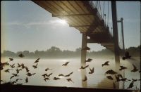 Лот: 8719893. Фото: 7. Сканер для плёнки и слайдов Canon...