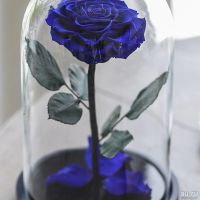 Лот: 17365348. Фото: 2. Синяя роза в колбе "VIP"/доставка... Цветы, букеты