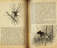 Лот: 25251820. Фото: 6. А.Н. Формозов .Шесть дней в лесах...
