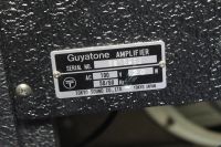 Лот: 5908304. Фото: 6. Guyatone ZIP 200 2 штуки Made...