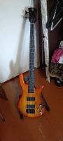 Лот: 22179603. Фото: 2. Spector ns 4 neck thru. Музыкальные инструменты